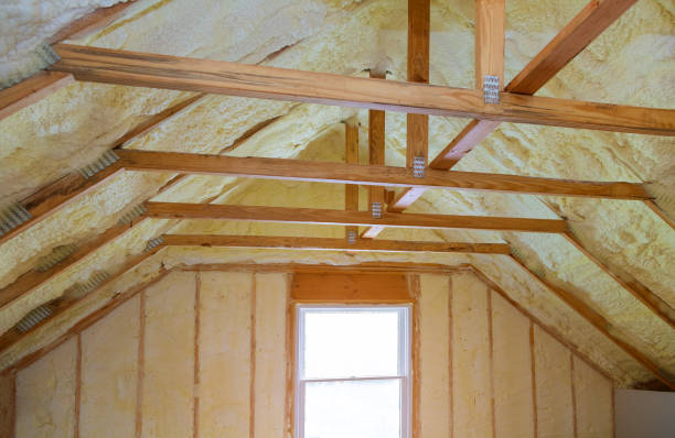 Best Wall Insulation Contractor  in Waldron, AR